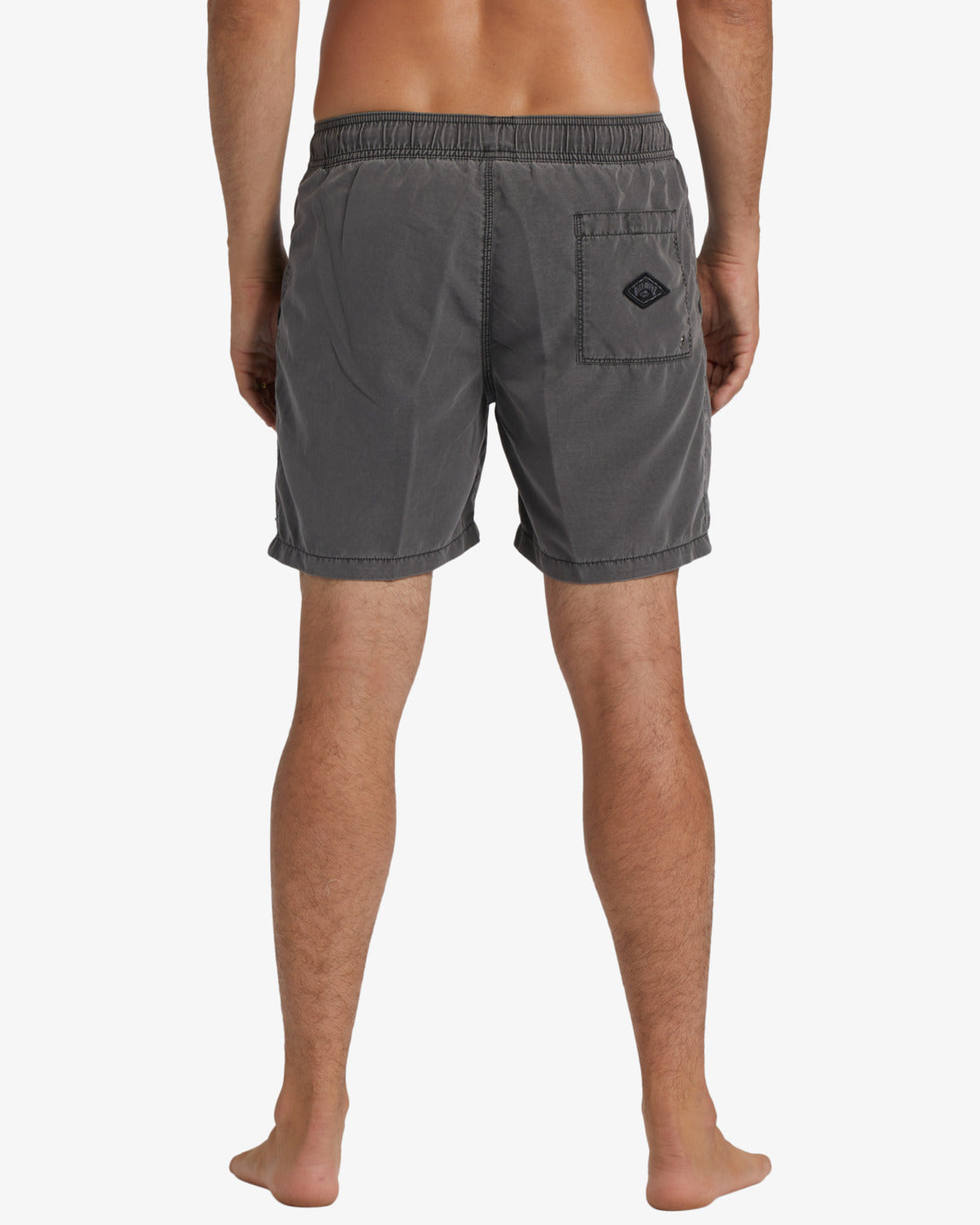 Mens All Day Overdye Layback Boardshorts