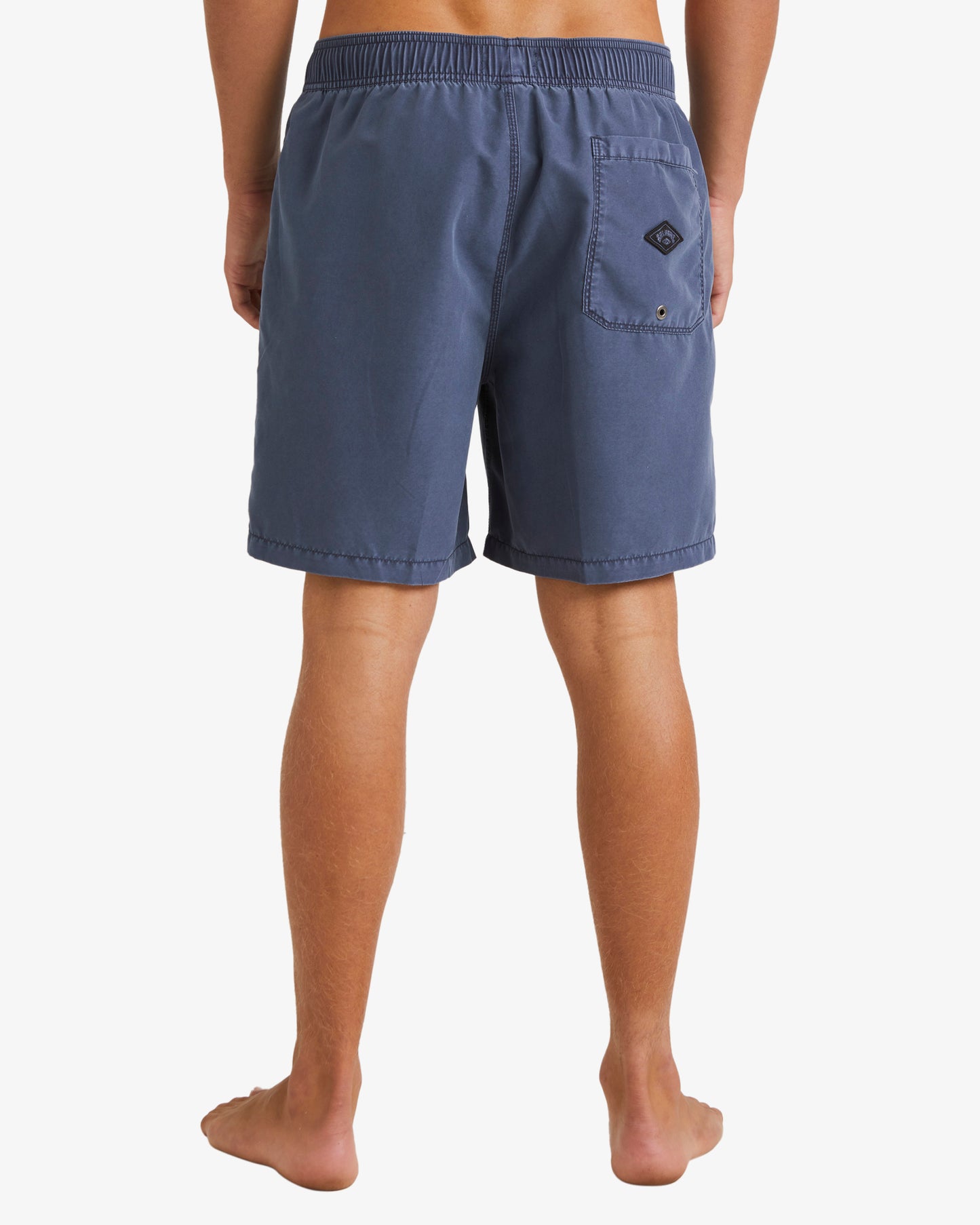 Mens All Day Overdye Layback Boardshorts