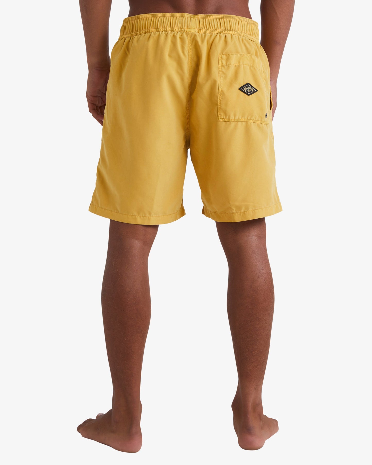 Mens All Day Overdyed Layback Boardshorts