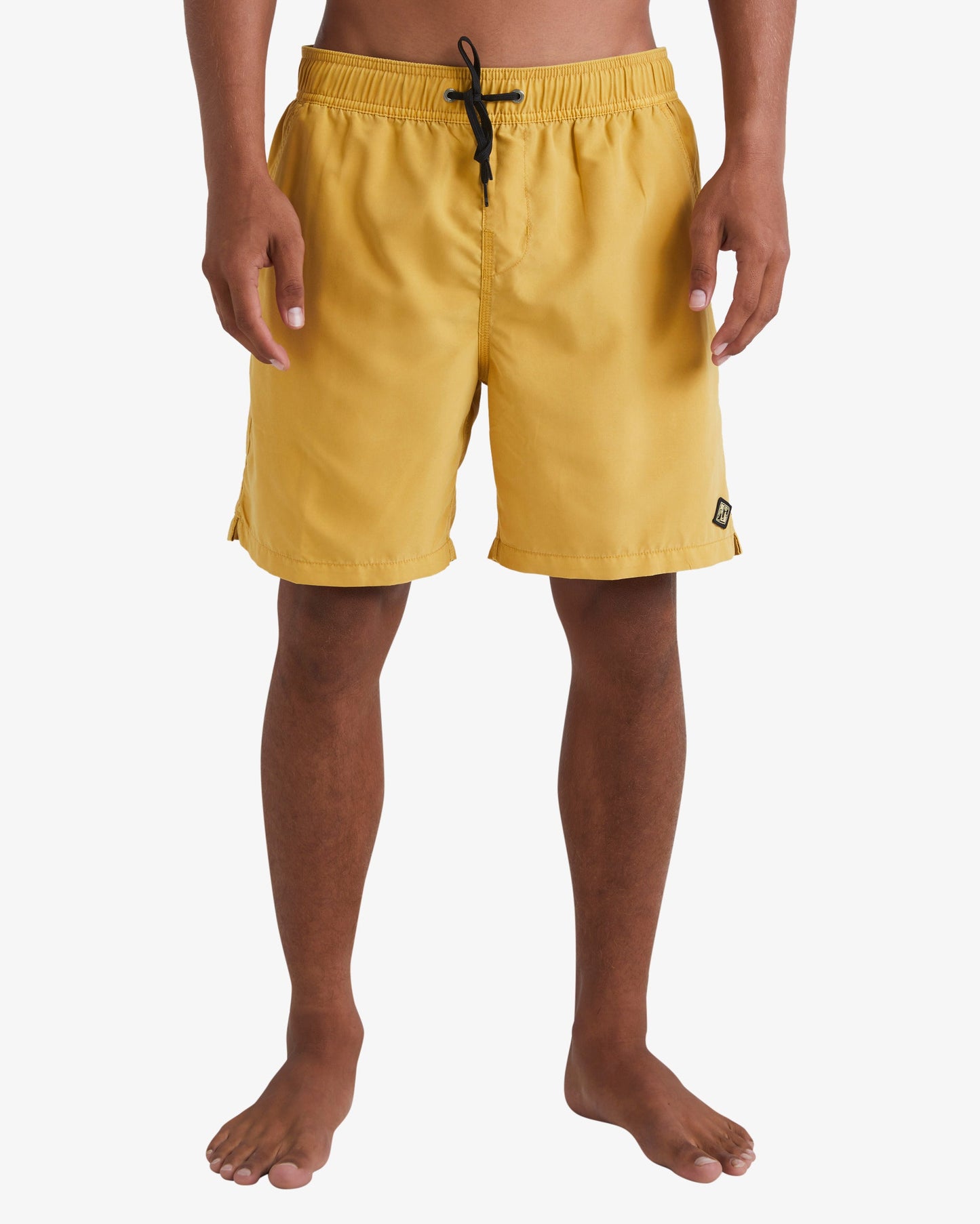 Mens All Day Overdyed Layback Boardshorts