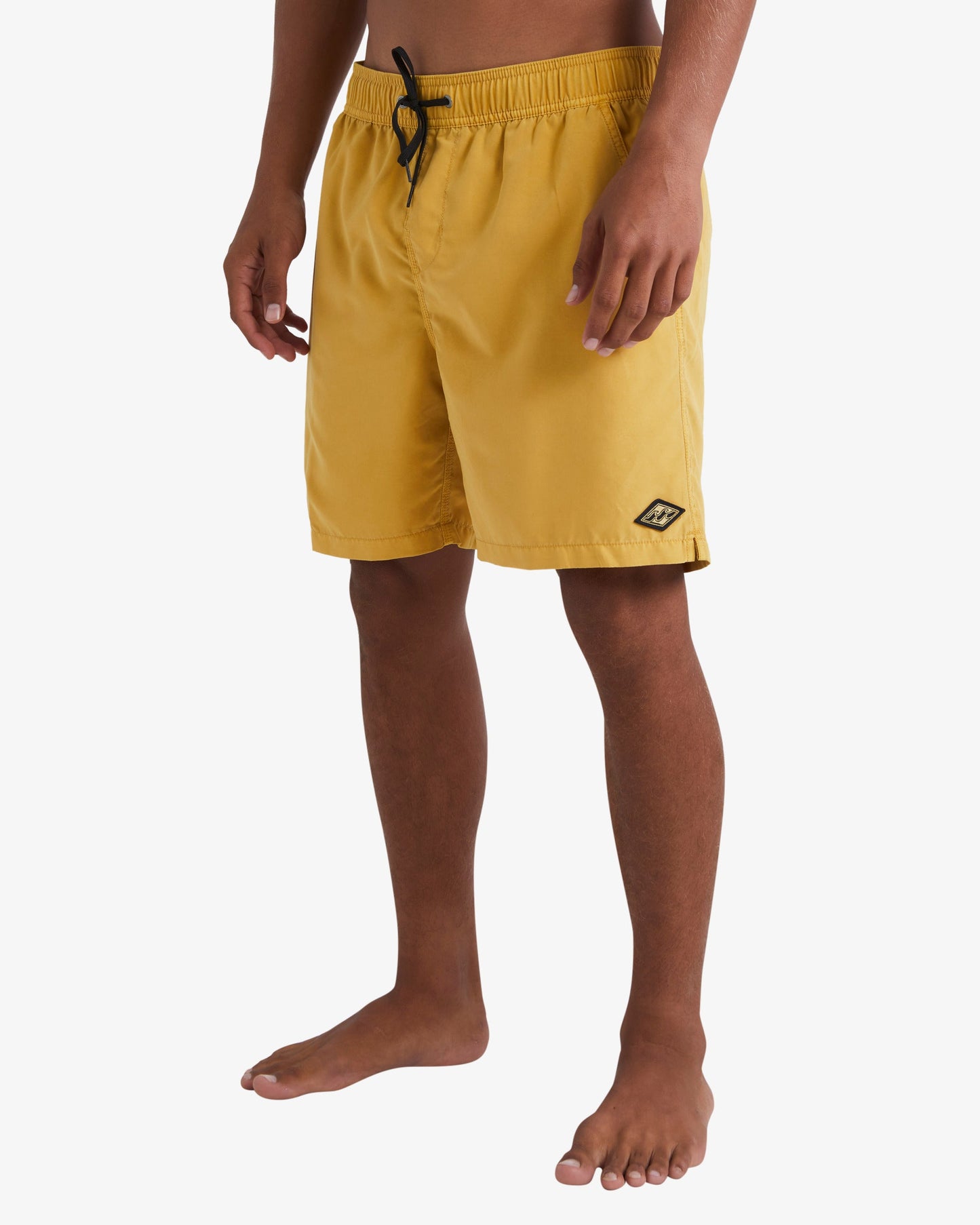 Mens All Day Overdyed Layback Boardshorts